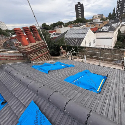 Recent roof project