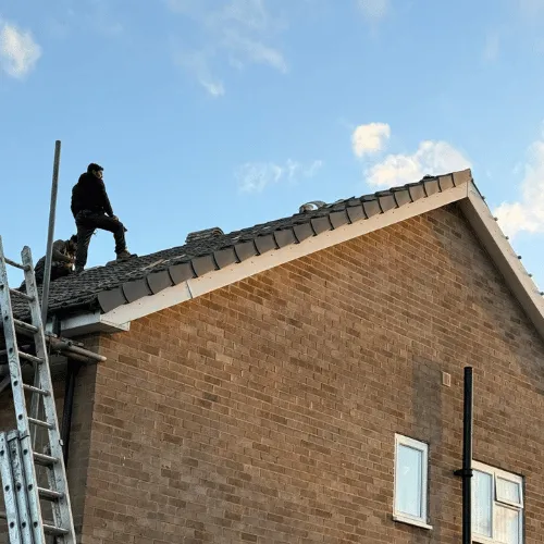Recent roof project